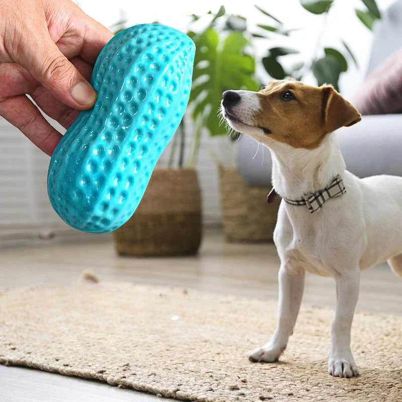 pet toy: additional product view (CellosPets)