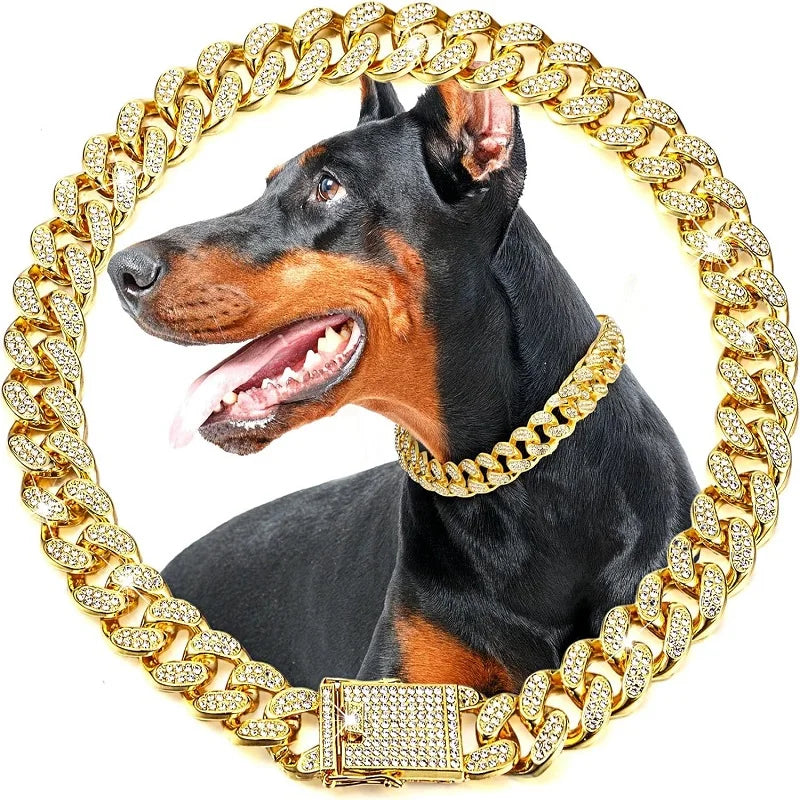 dog collar for dogs — main product photo