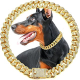 dog collar for dogs — main product photo