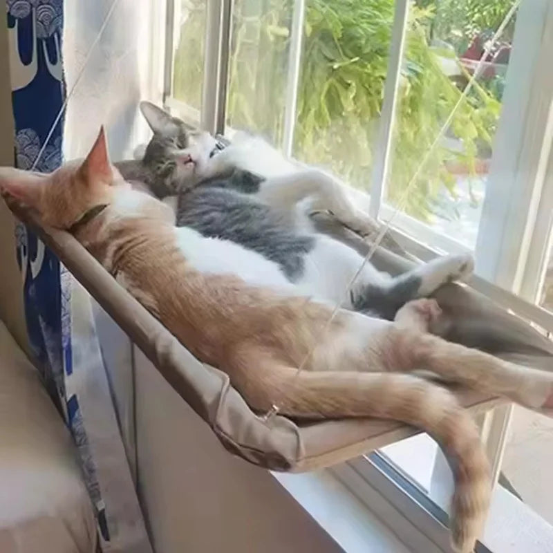 pet hammock for cats — main product photo