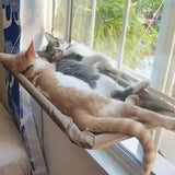 pet hammock for cats — main product photo