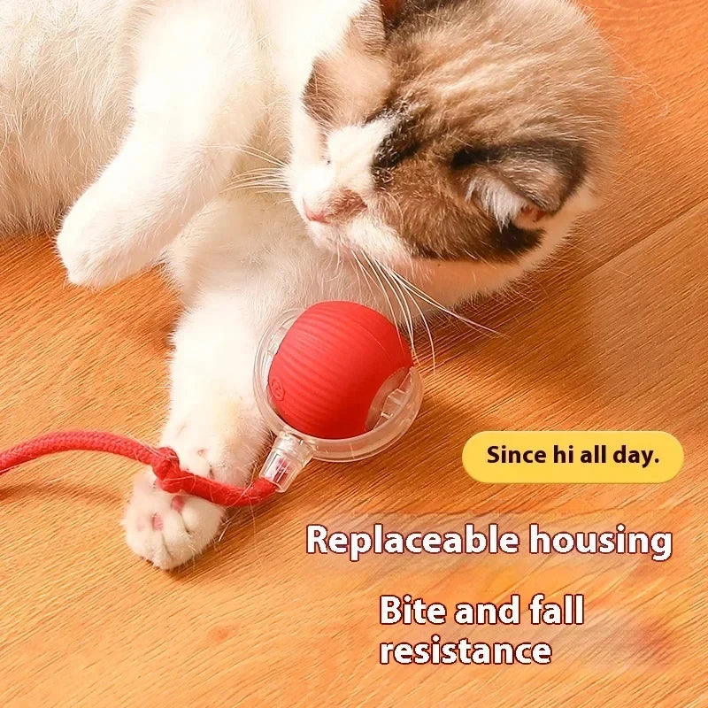 Rechargeable Automatic Rolling Ball Cat Toy – Fake Tail, Imitate Mouse, Electric Interactive for Cats & Dogs — imagem 1