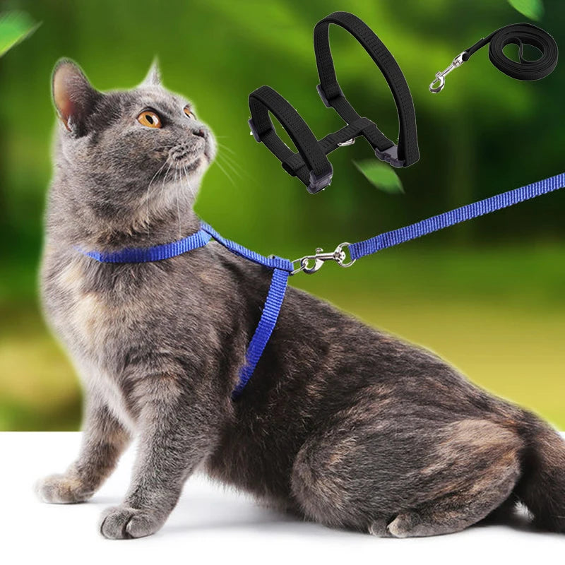 Adjustable Pet Cat Collar For Cats Cozy Nylon — detail view for dogs and cats