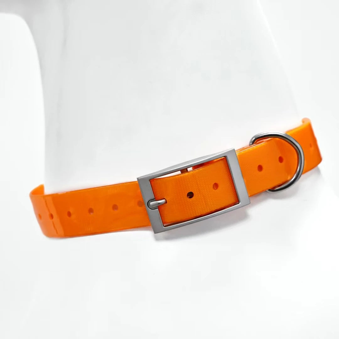 dog collar for dogs — packaging or accessories view