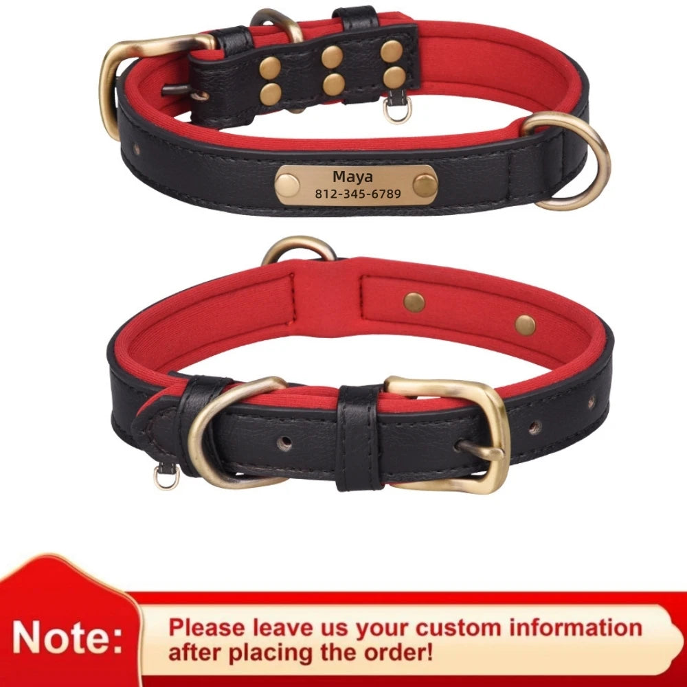 dog collar for dogs — main product photo