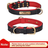 dog collar for dogs — main product photo
