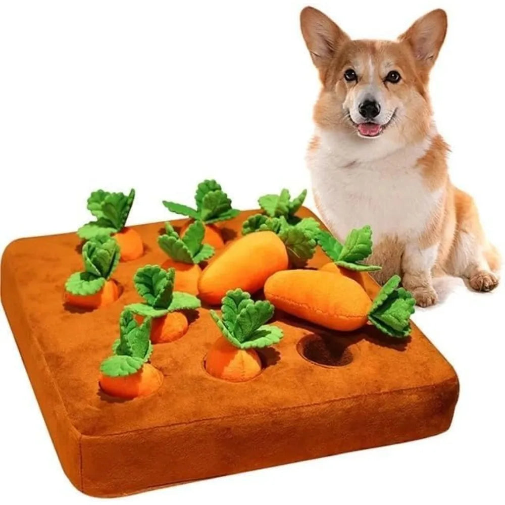 pet toy for dogs — main product photo