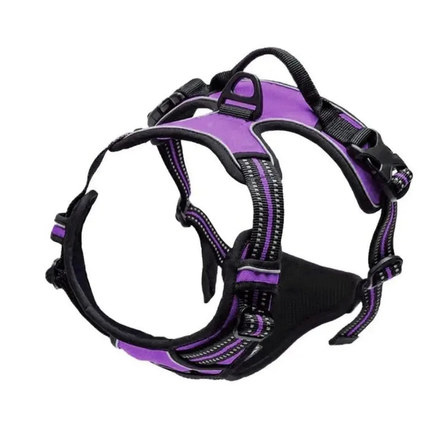 pet harness: extra gallery photo (CellosPets)