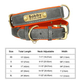 dog collar for dogs — full product shot
