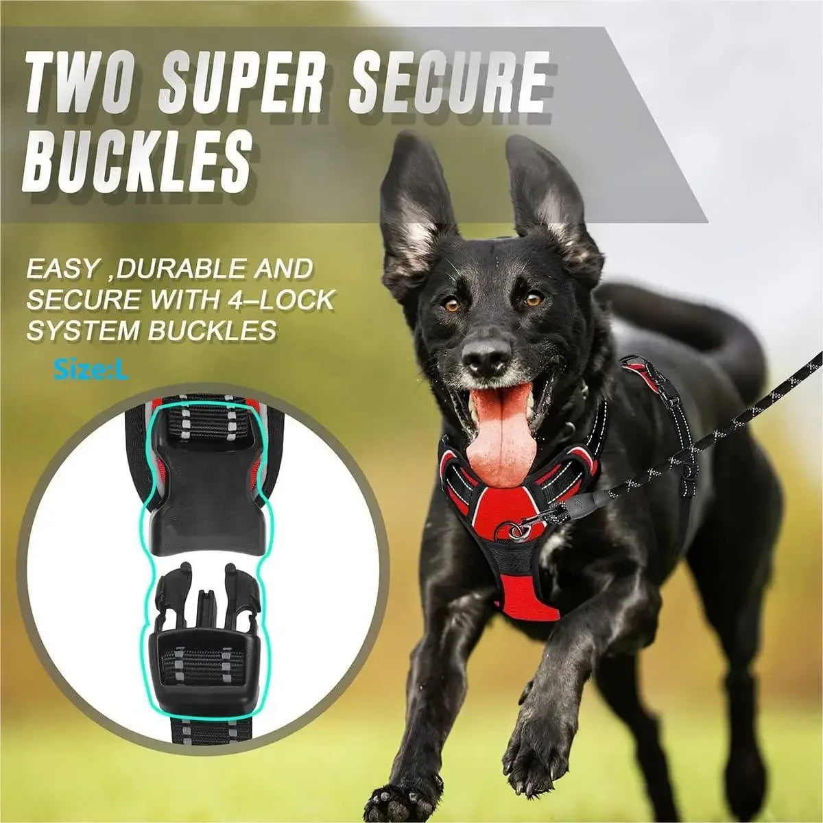 Dog Collars Harness Big Vests Leash Pet Shop — in-use context for dogs