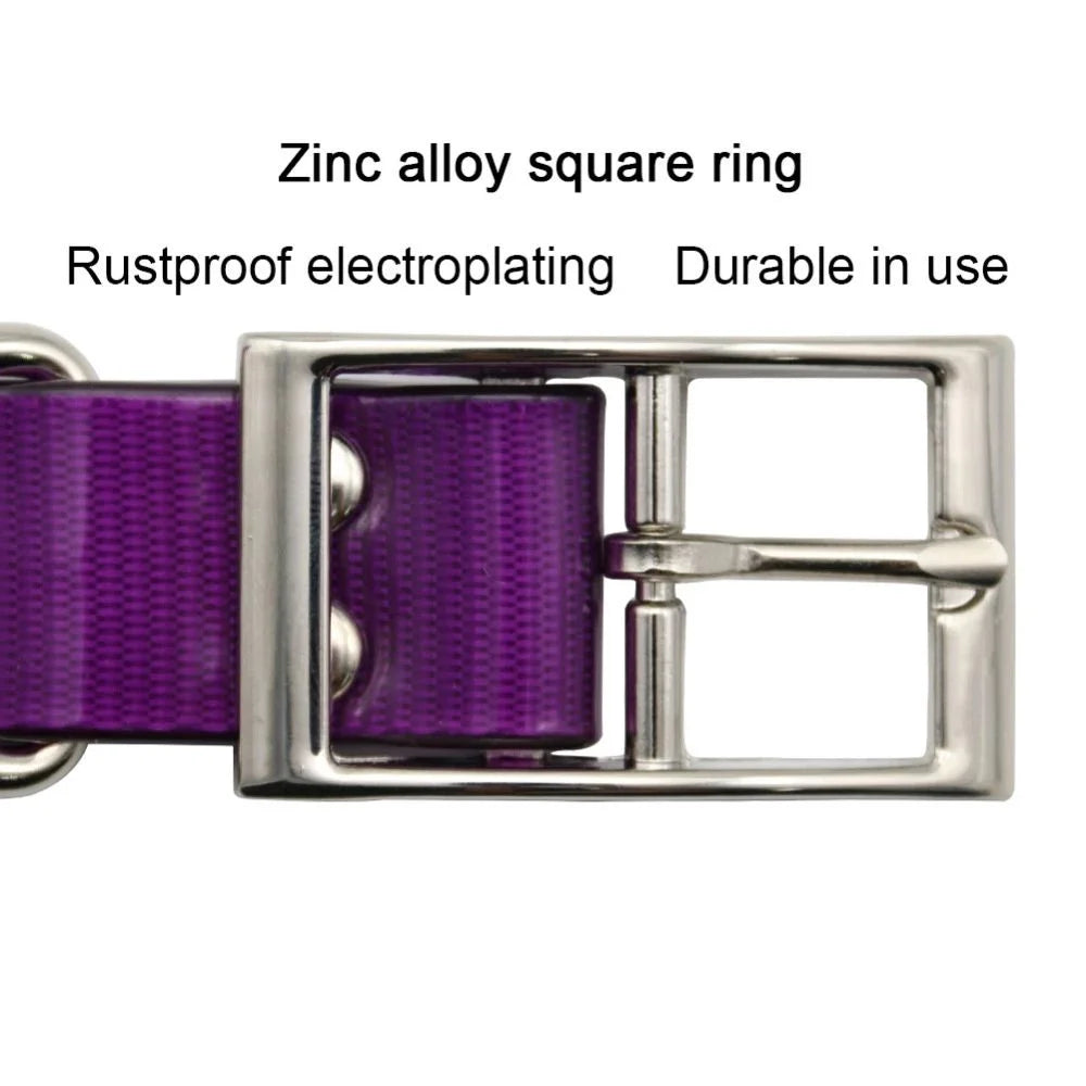 2.5cm Wide Heavy Duty TPU Dog Collar Waterproof — in-use context for dogs
