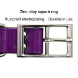 2.5cm Wide Heavy Duty TPU Dog Collar Waterproof — in-use context for dogs