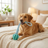 pet toy for dogs — close-up of materials