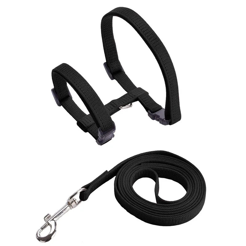 Adjustable Pet Cat Collar For Cats Cozy Nylon — alternate color or size view for dogs and cats
