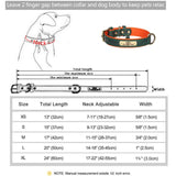 Personalized Customized Leather id Nameplate Dog — in-use context for dogs