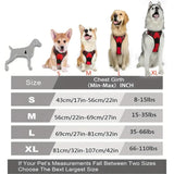 pet harness: additional product view (CellosPets)