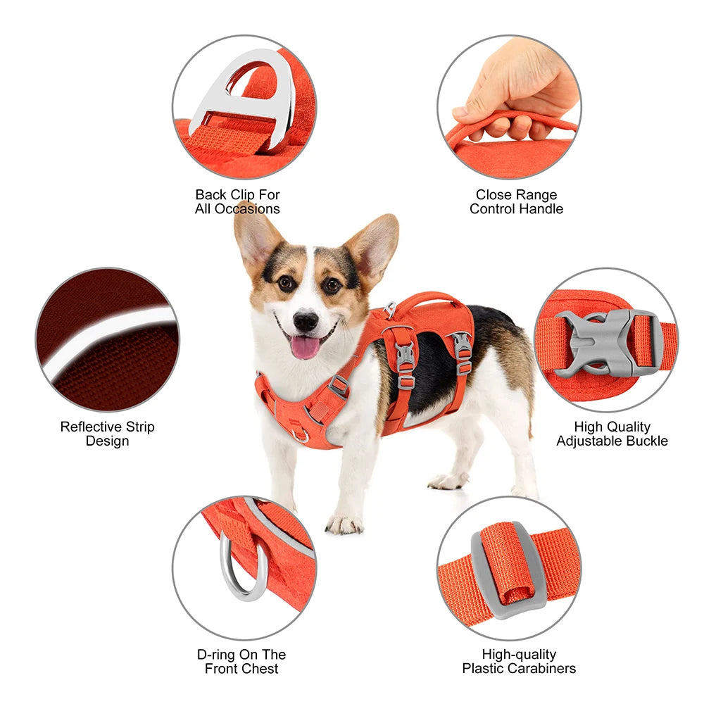 Nylon Pet Dog Harness Reflective Dog Harnesses — in-use context for dogs