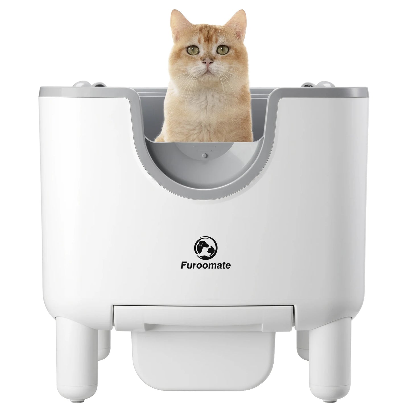 cat litter box for cats — main product photo