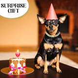 dog collar: additional product view (CellosPets)