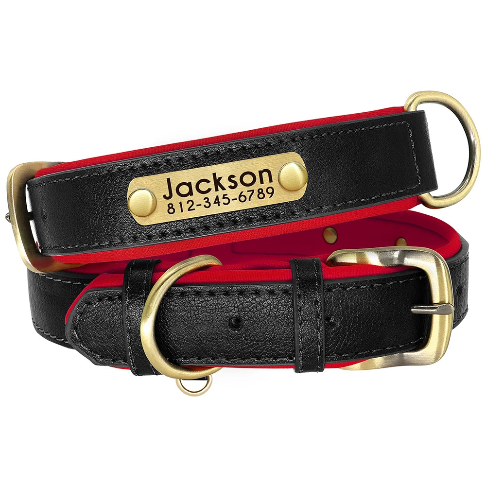 dog collar: extra gallery photo (CellosPets)