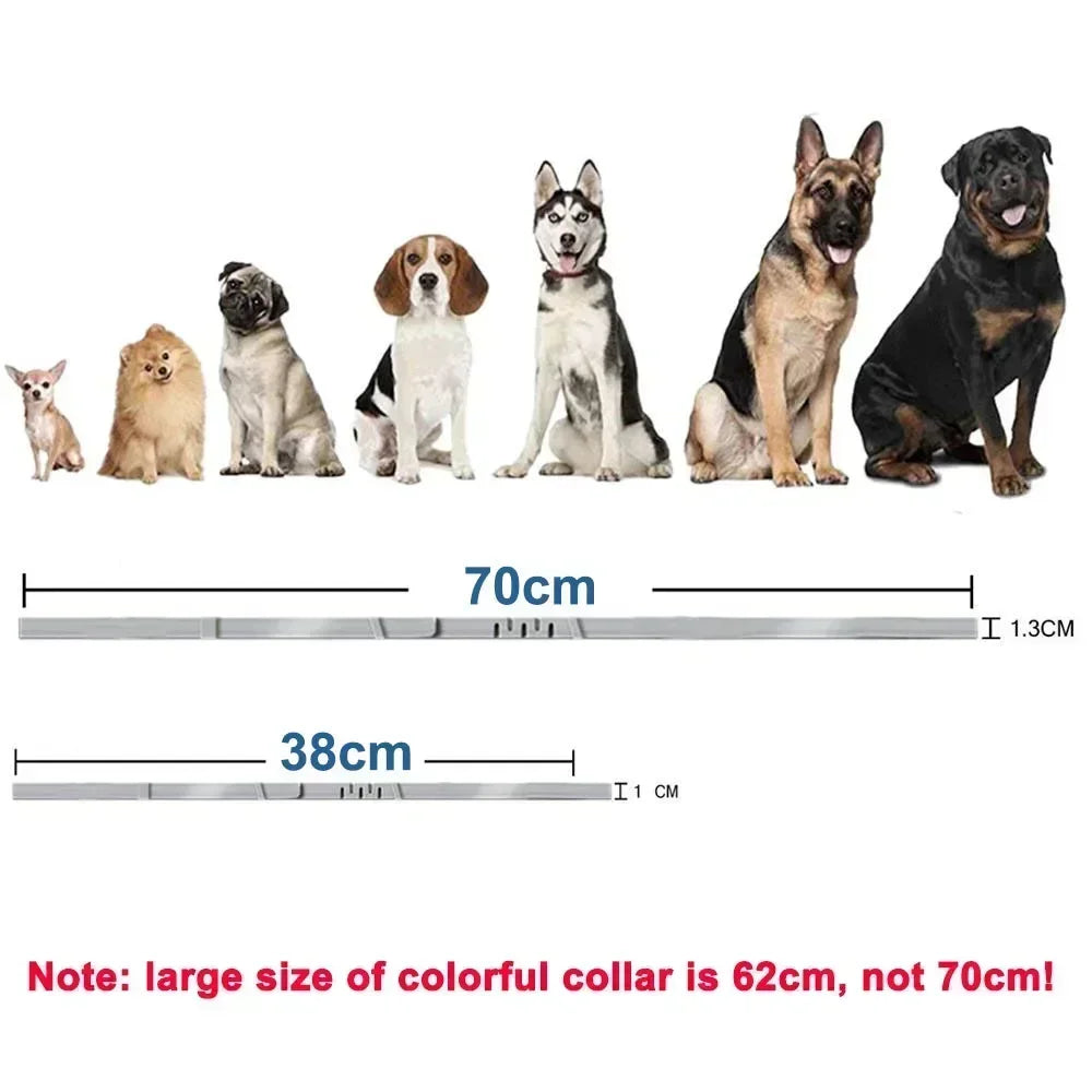 dog collar: additional product view (CellosPets)