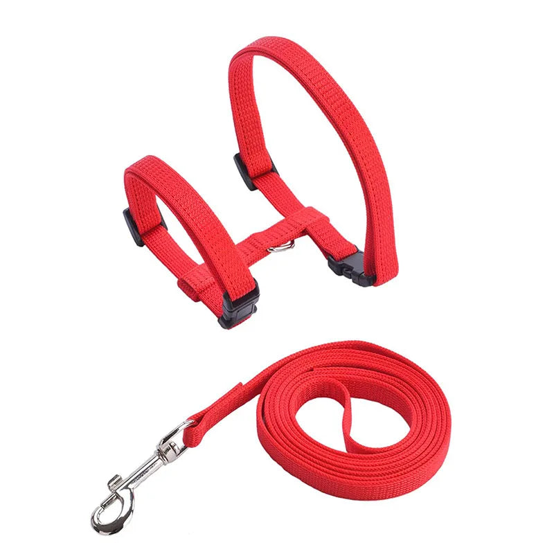 dog collar: side angle (CellosPets)