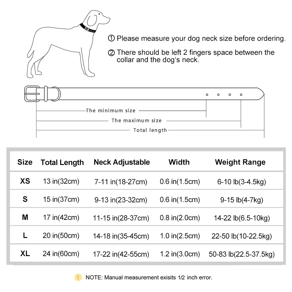 dog collar: additional product view (CellosPets)