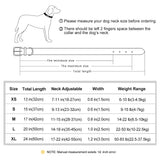 dog collar: additional product view (CellosPets)