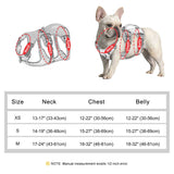 pet harness: additional product view (CellosPets)