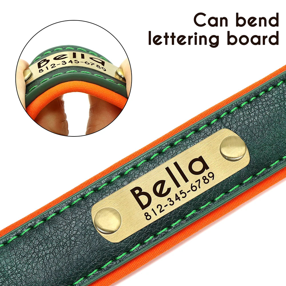 dog collar for dogs — close-up of materials