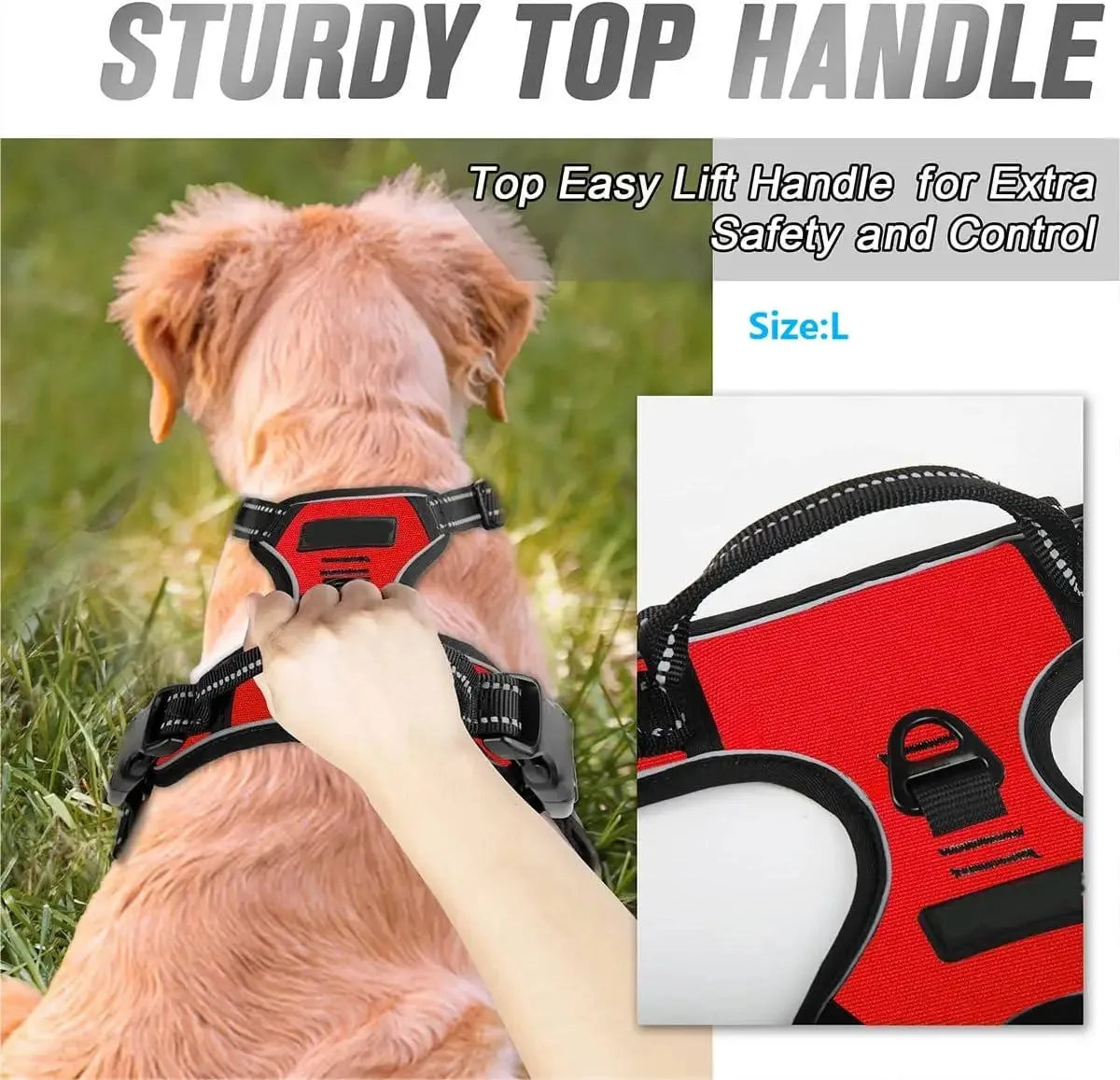 pet harness for dogs — close-up of materials