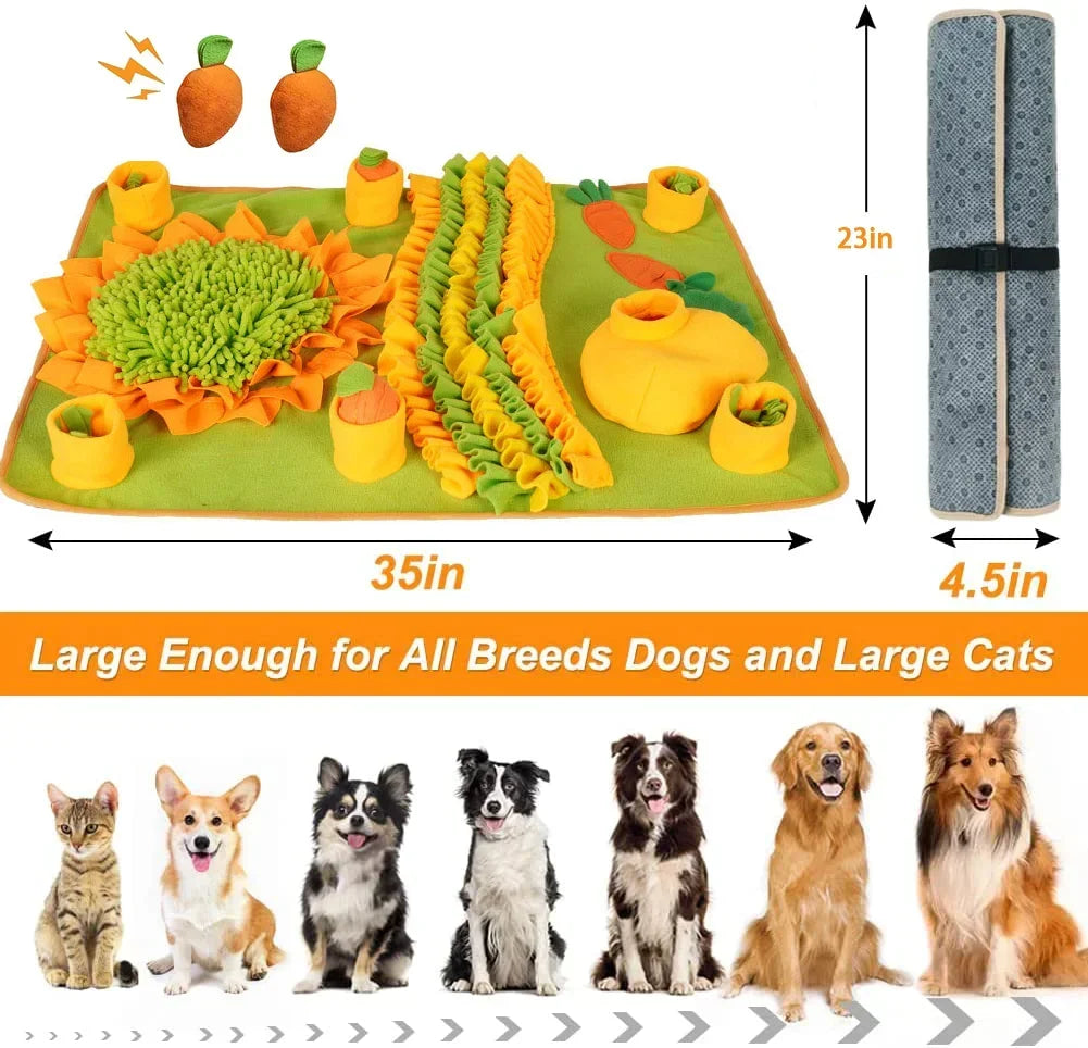 pet product for dogs — packaging or accessories view