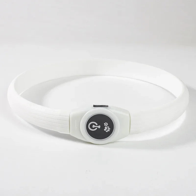 dog collar: feature highlight (CellosPets)