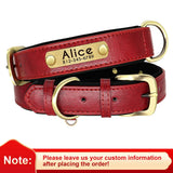 dog collar: feature highlight (CellosPets)