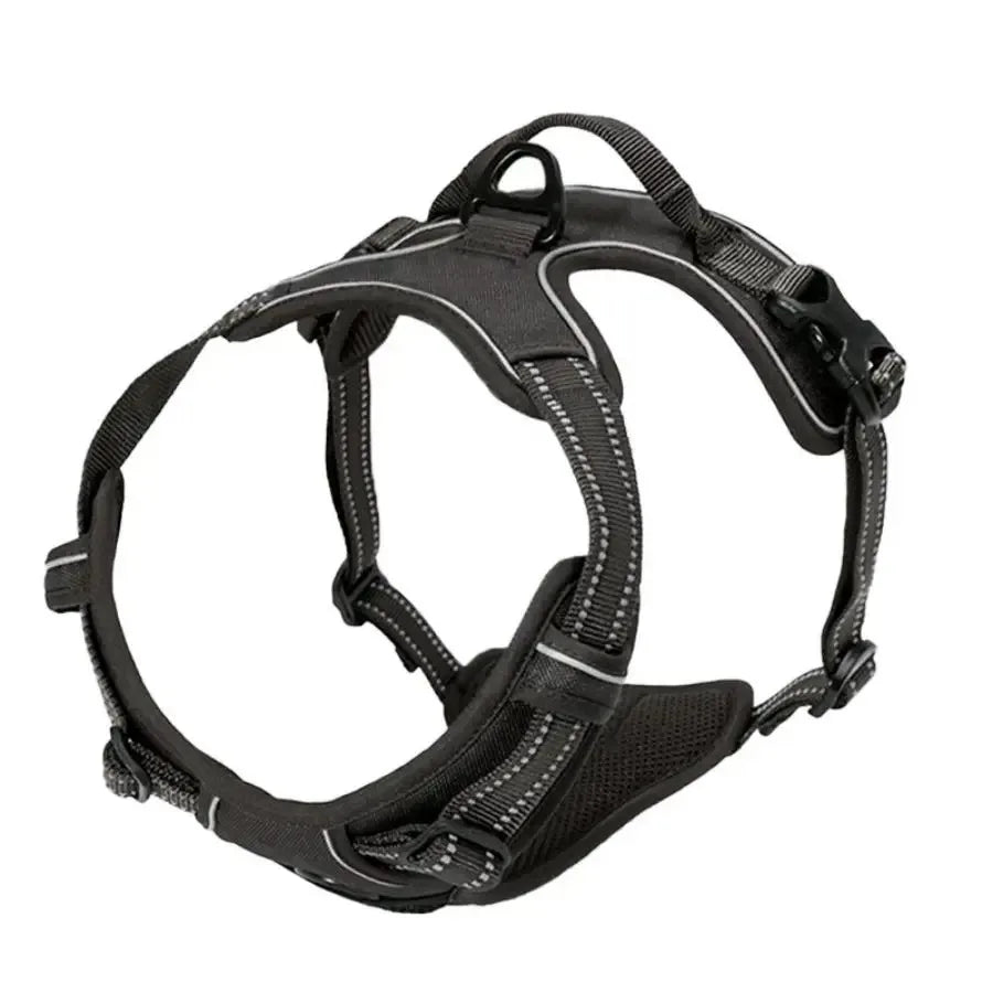pet harness for dogs — packaging or accessories view