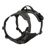 pet harness for dogs — packaging or accessories view