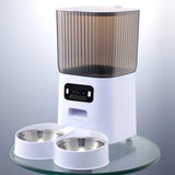 automatic pet feeder for dogs and cats — full product shot