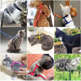 dog collar for dogs and cats — close-up of materials